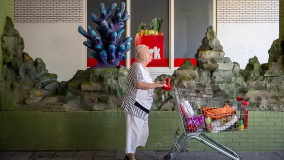 Zeemeermin tegen overlast Zeemeermin tegen overlast